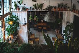 <p>green cactus mexican grill prides itself on using only fresh ingredients and cooking its meals without msg, lard or microwaves. The Greens The Shopkeepers