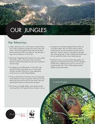Our Planet Our Jungles Educator Guide Earth Science Lessons Planets Lesson Planet
