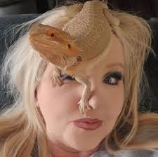 I know this is random but I need help setting up my bearded dragons  enclosure I received for a Christmas gift unexpectedly. I can not seem to  the lighting correct for the