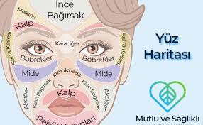 Yuz Haritasi Nedir Cildiniz Size Saglik Sorunlari Hakkinda Ne Anlatiyor Saglik Geleneksel Cin Tibbi Yuzler