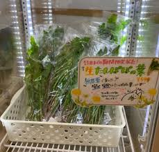 うさぎブログ うさぎのしっぽ公式ブログ 日々しっぽ 生たんぽぽの葉発売中