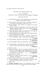 Image result for Syzygium rowlandii