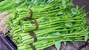 Download lagu kangkung goreng belacan (6.4mb) dan streaming kumpulan lagu kangkung goreng belacan (6.4mb) mp3 terbaru di metrolagu hasil diatas adalah hasil pencarian dari anda kangkung goreng belacan mp3 dan menurut kami yang paling cocok adalah kangkung goreng. Resepi Kangkung Goreng Belacan Sedap 3 Kitpramenulis