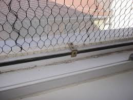 Gibt Es So Eine Art Fenstergitter Fur Wohnungskatzen Ohne Balkon Seite 2 Fenstergitter Wohnungskatzen Fenstersicherung