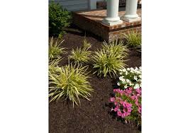 But if you do need to clear debris from the our playground rubber mulch is made of the same material that's used to make the soles of shoes. Shredded Rubber Mulch For Landscaping