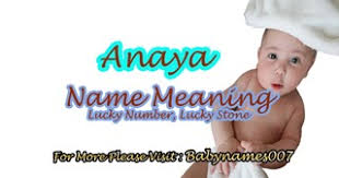 Anaya Beautiful Islamic Names Baby Girl Names Meaning New Born Baby Name