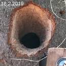 Image result for tobias Schiffer und bienen