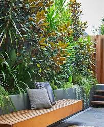 Maybe you would like to learn more about one of these? Tropical Gardens Without The Tropics Caragh Nurseries