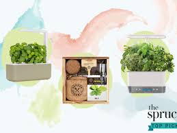 Suddenly, my son finds eating his greens seriously fun! The 9 Best Herb Garden Kits Of 2021