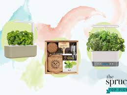 Suddenly, my son finds eating his greens seriously fun! The 9 Best Herb Garden Kits Of 2021