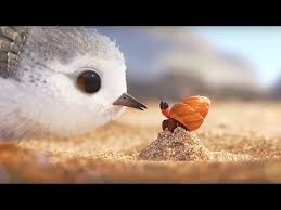 Piper Pixar Short Film Piper Full Movie Walt Disney Movies Full Length Youtube Disney Pixar Cortometrajes Para Ninos Peliculas De Pixar