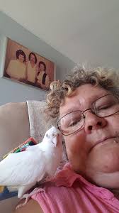 Can hook training help a stressed snake?