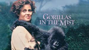 Gorillas in the Mist - Movie - Where To Watch