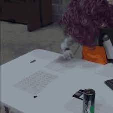 Maase robot