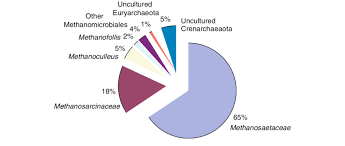 Pie Chart Of The 239 Archaeal Sequences Retrieved In