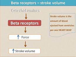 Learn Here How Beta Receptors Increase Stroke Volume And How Beta Blockers Work Beta Blockers Cardiac Disorder Pharmacology Nursing