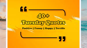 We did not find results for: Quote Of The Day Tuesday Quotes Positive Happy And Terrific Quotes