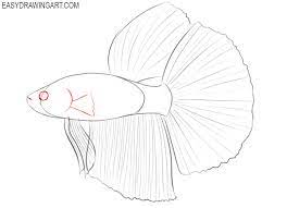 Check spelling or type a new query. How To Draw A Betta Fish Easy Drawing Art
