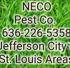 At cleardefense pest control in kansas city, mo, we use only environmentally responsible products. Aces Pest Solutions Com Home Facebook