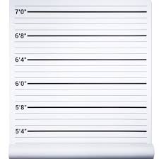 Mugshot Backdrop Height Chart