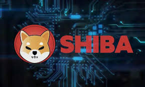 Regrettably, binance can no longer continue. Crypto Exchanges Okex And Binance List Dogecoin Killer Shiba Inu Shib After 2100 Gains In Three Days