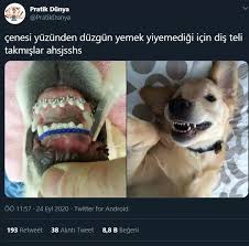 Sakuray Sude Adli Kullanicinin Funny Time Panosundaki Pin 2020 Komik Goruntuler Komik Seyler Kitap Esprileri