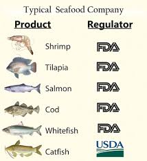 Us Bans Gilbacker Other Fish Kaieteur News