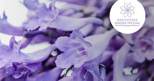 7 giardini d'artista per il Radice Pura Garden Festival - Concorso ...