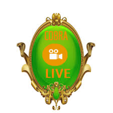 Cobra plus iptv app is listed in video players & editors category . Descargar Cobra Iptv Apk Ultima Version App By Aboshady Para Dispositivos Android