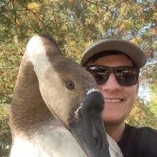 Where to find chicken manure in Gaylord?