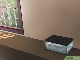 Keeping leeches in a fridge How To Keep Leeches As Pets 9 Steps With Pictures Wikihow