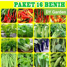 Sayur dan buah merupakan jenis makanan yang sangat disarankan untuk dikonsumsi setiap hari. Paket 16 Jenis Sayuran Bibit Sayur Sesuai Dengan Gambar Shopee Indonesia