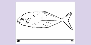 2 months ago 198 views Free Shiny Tail Fish Colouring Sheet Colouring Sheets