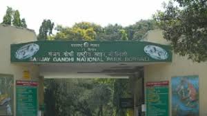 Mumbai: 2 Lions Brought From Gujarat ...