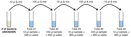 2.19 x 10 6 cfus / ml. Lab 9 Standard Plate Count Biology Libretexts