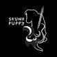 Skunk Puppy @ The Leta event image