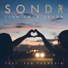 Peg parnevik is swedish but has been raised in jupiter, florida. Sondr Feat Peg Parnevik Live Love Learn Songtext Musixmatch