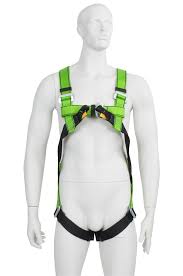 G Force P30 2 Point Full Safety Harness