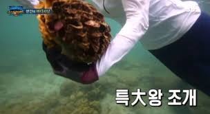 จับพม่ากินหอยมือเสือแล้ว อุทยานปรับ 500 บาท ว่ากล่าวตักเตือน ขณะที่ พรบ.2535 มีโทษทั้งจำและปรับ Sbs à¸­à¸­à¸à¸¡à¸²à¸Š à¹à¸ˆà¸‡à¸«à¸¥ à¸‡à¸£à¸²à¸¢à¸à¸²à¸£ Law Of The Jungle à¸– à¸à¸à¸¥ à¸²à¸§à¸«à¸²à¸§ à¸²à¸ˆ à¸šà¸ª à¸•à¸§ à¸„ à¸¡à¸„à¸£à¸­à¸‡à¹ƒà¸™à¹„à¸—à¸¢