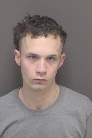 Albany man sentenced to 100 months for rape, incest