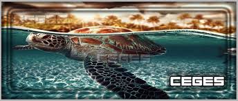 تفسير حلم السلحفاة في المنام لابن سيرين رمز رؤية السلاحف في الحلم