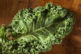 Trop Chou Le Kale Choux Le Chou Kale Chou Kale
