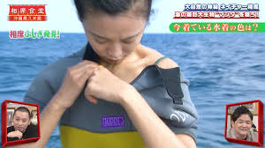 人気タレント小島瑠璃子、相席食堂で沖縄ビーチでタンクトップ谷間おっぱい露出しまくるww - エロチカ