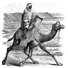 Life has taught me a great deal, it began, including the lesson that you. The Project Gutenberg S Ebook Of Bible Animals By J G Wood