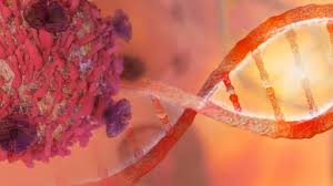 Top ten cancer fighting foods. Converting Silenced Cancer Genes Back Into Fighters Technology Networks