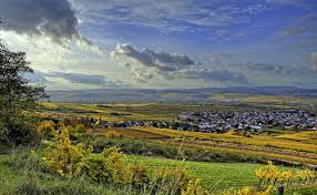 Edge of the lake vineyard is a family owned and operated vineyard in valley view, tx. Valley View Autumn Vineyards Rhine Free Photo On Pixabay