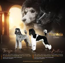 Image result for Pearsonia