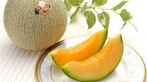 We did not find results for: 7 Alasan Buah Melon Di Jepang Sangat Mahal Hingga Ratusan Juta Tribun Travel