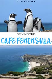 Driving The Cape Peninsula The Scenic Route Little Foot Adventures Africa Travel Guide Africa Tourist South Africa Travel