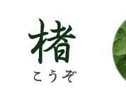 和紙原料的圖片